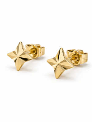 The Naa’m Hooderai 14K Solid Gold Star Studs